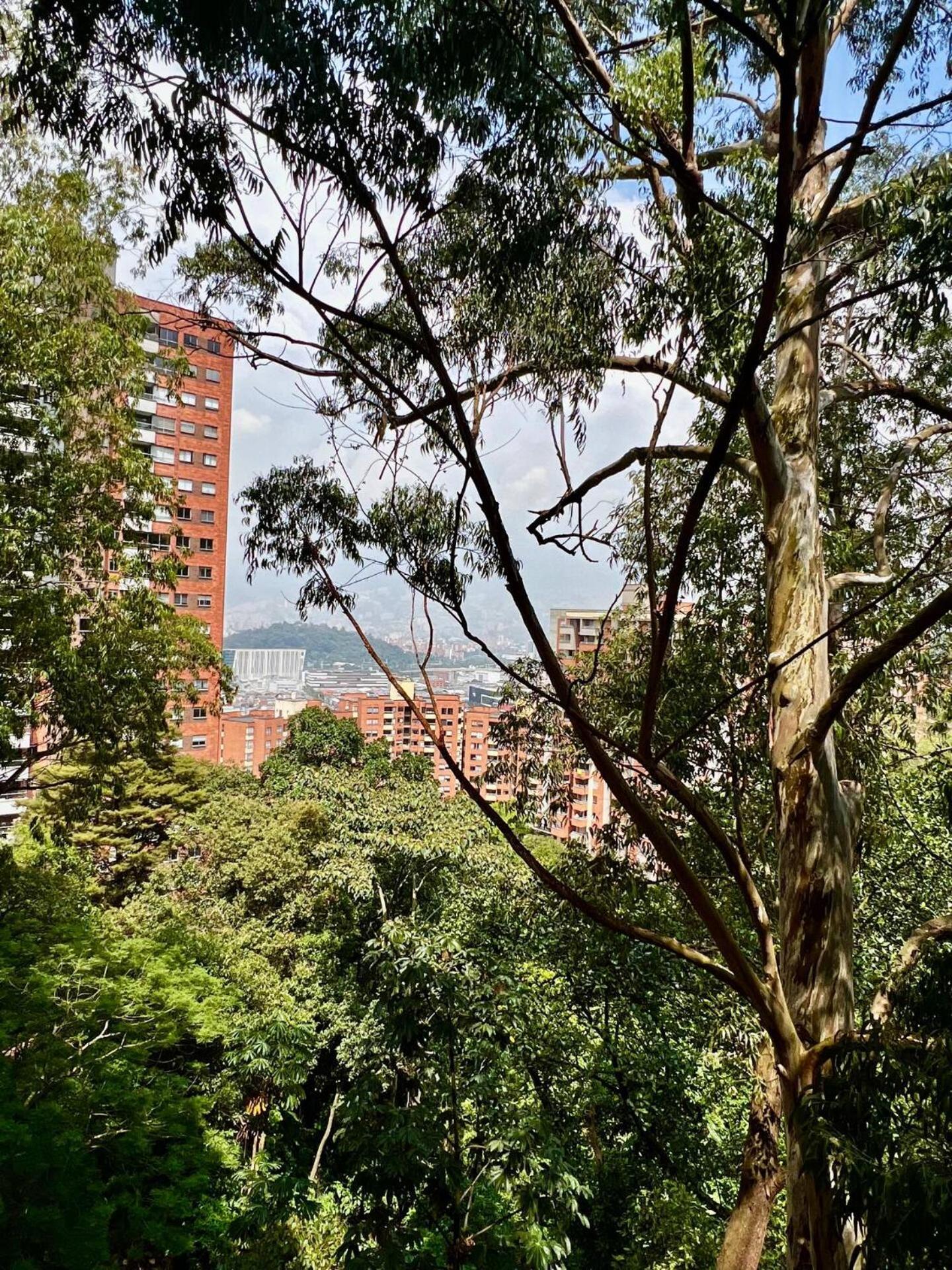 3br By Palmagrande Mall Pool El Poblado *