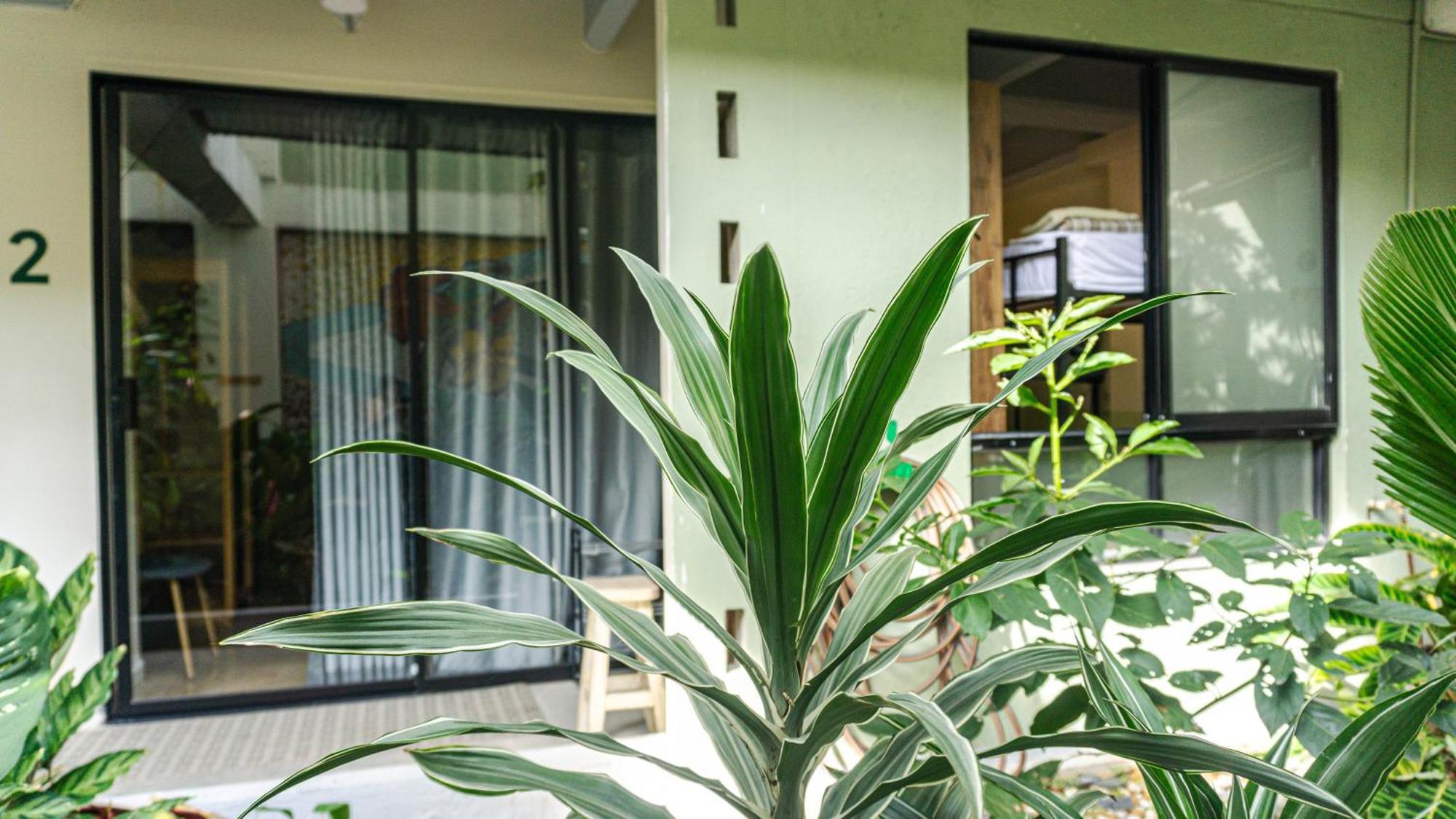 Selva House Acomodação com café da manhã  *