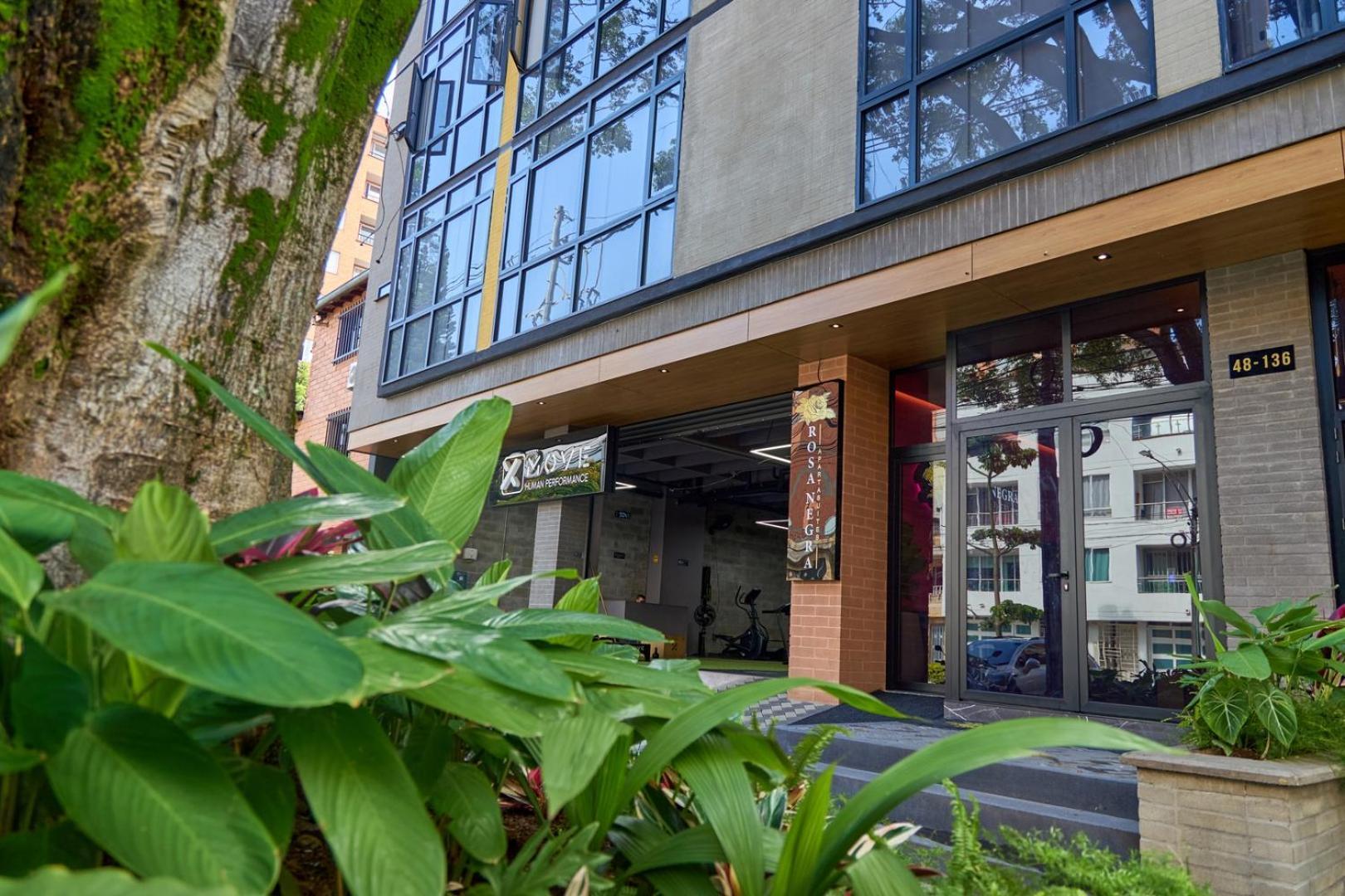 Stadio Haven Rosa Negra Cozy Medellín