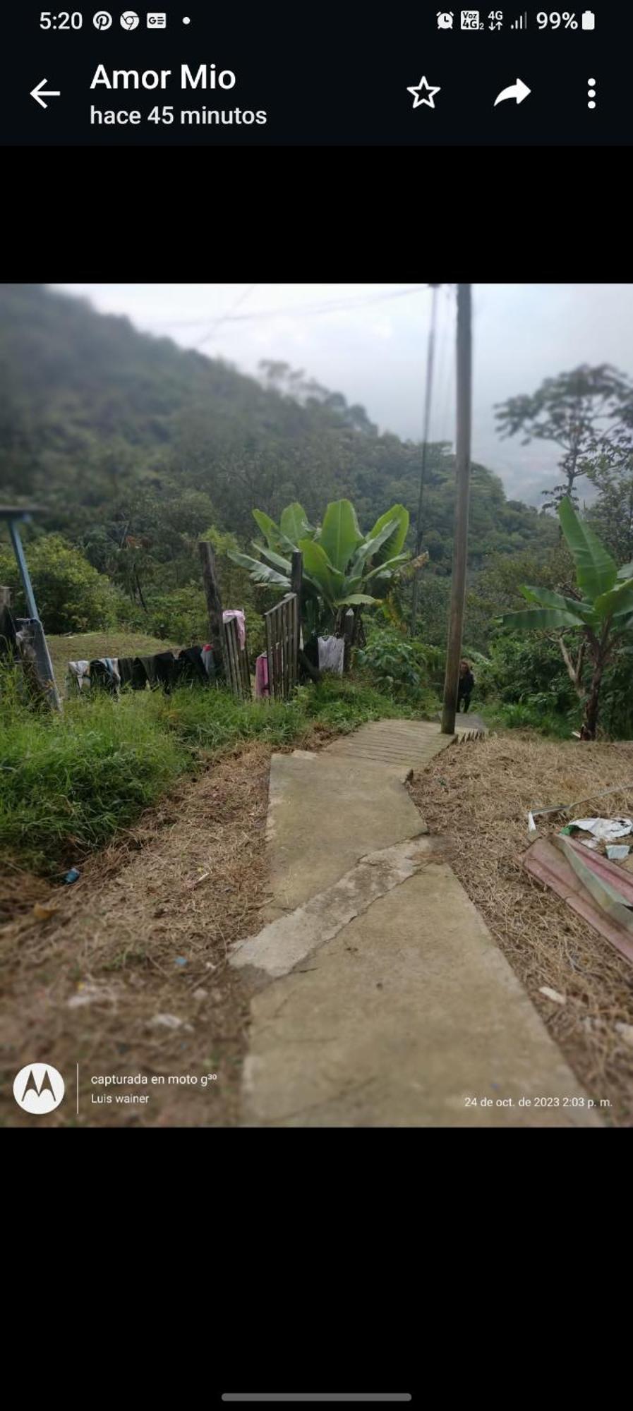 Casita El Mirador Solo Naturaleza *
