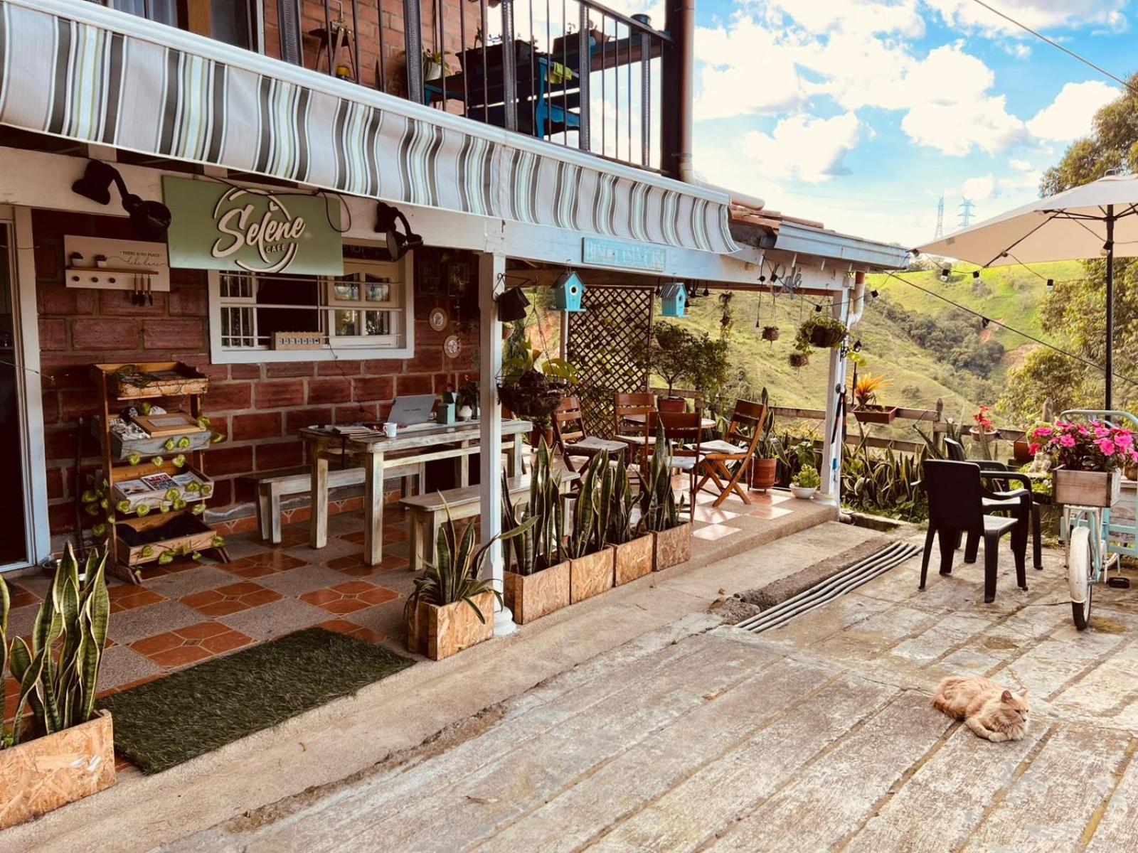 Selene Coworking Cafe * Medellin