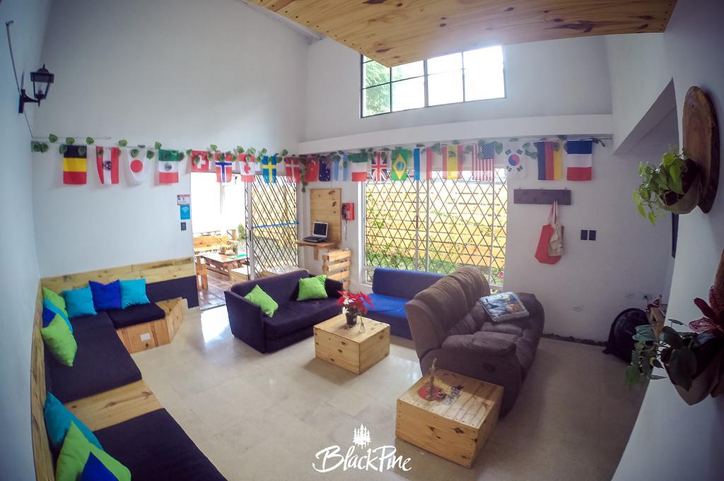 Blackpine Hostel Medellin