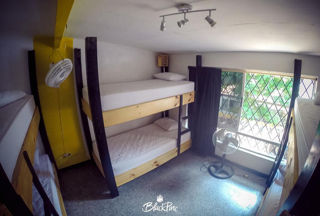 Hostel Blackpine *