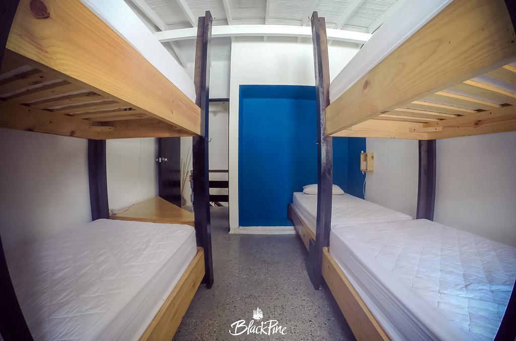 Blackpine Hostel *