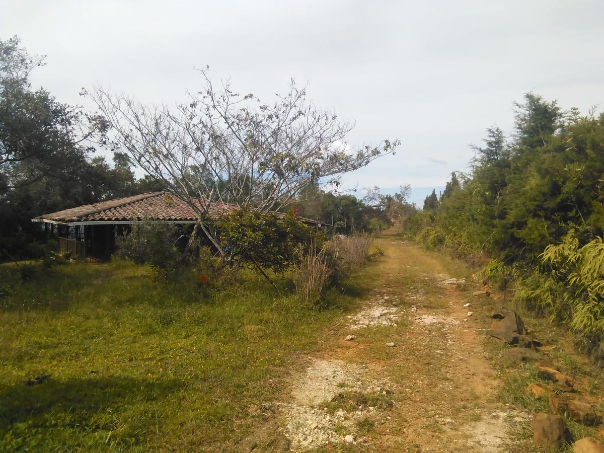 Rural Misia Emilia Medellin