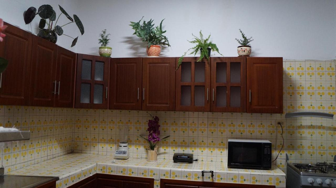 El Jardin De La 10 Guest house Medellin