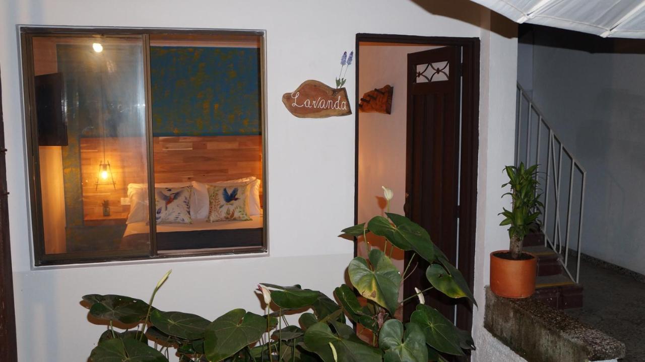 Guest house El Jardin De La 10 2*