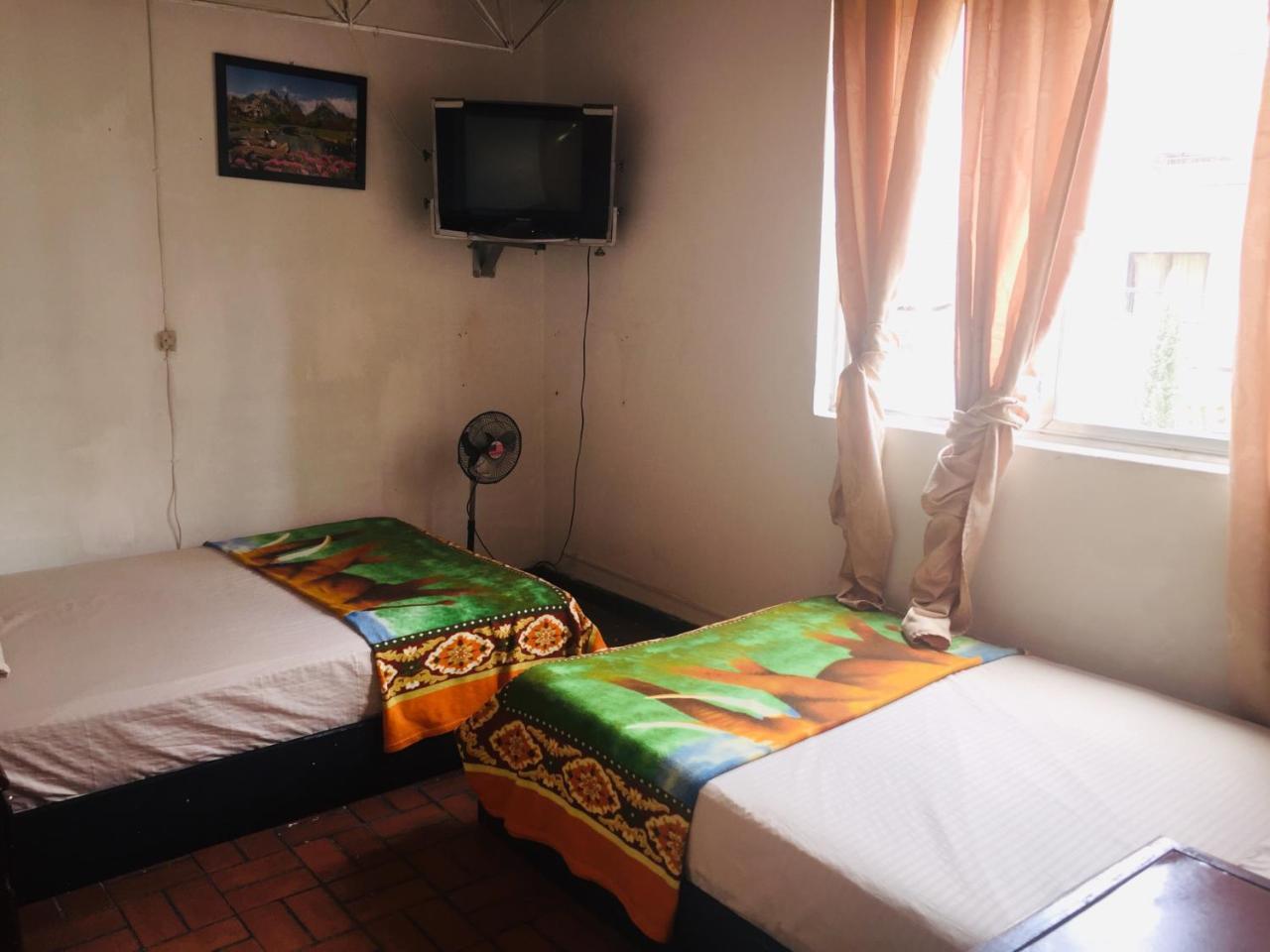 Hostel La Floresta