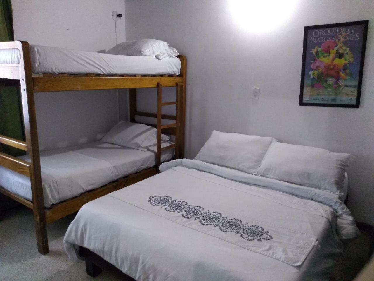 Palm Tree Hostel Hostel *