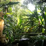 The Secret Buddha