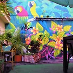 Medallo Social Hostal Open!