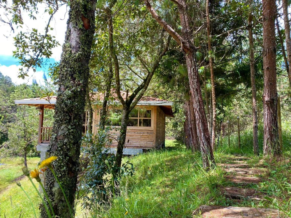 Eco Niguito Santa Elena