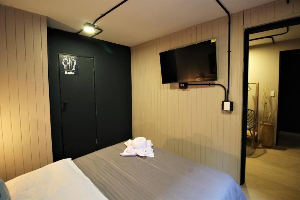 Apartment Que Permite Mascota En One105 By Roots