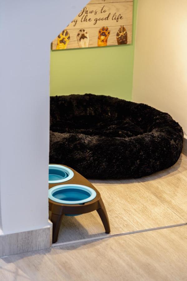 Apartment Ac, Apto Saman, Pet Friendly, 7 Personas