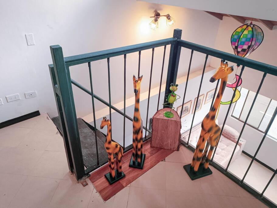 Amplio Duplex Con Terraza Privada. Apartment