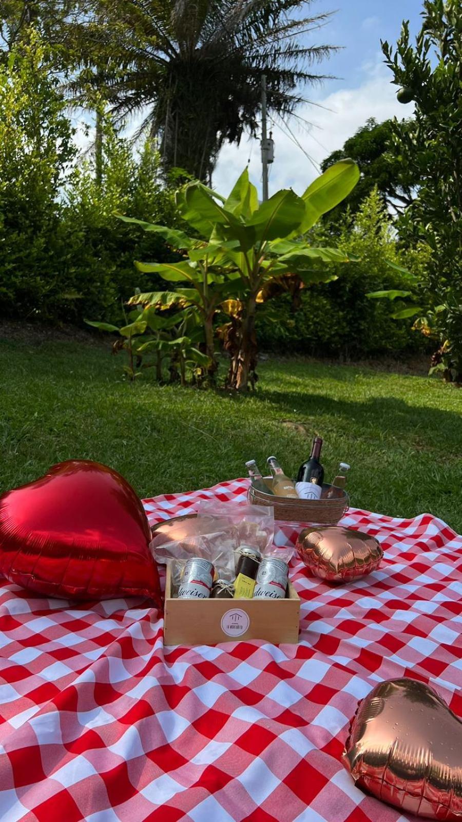 Glamping La Montanita *