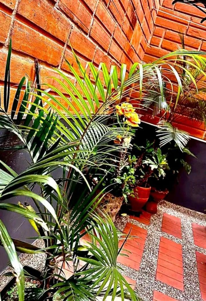 Casa Laureles Habitación en casa particular