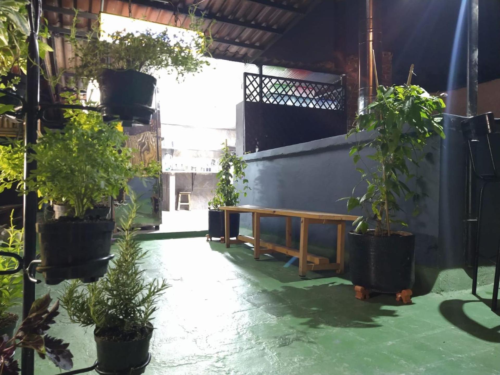 Albergue The Sugar Cane *