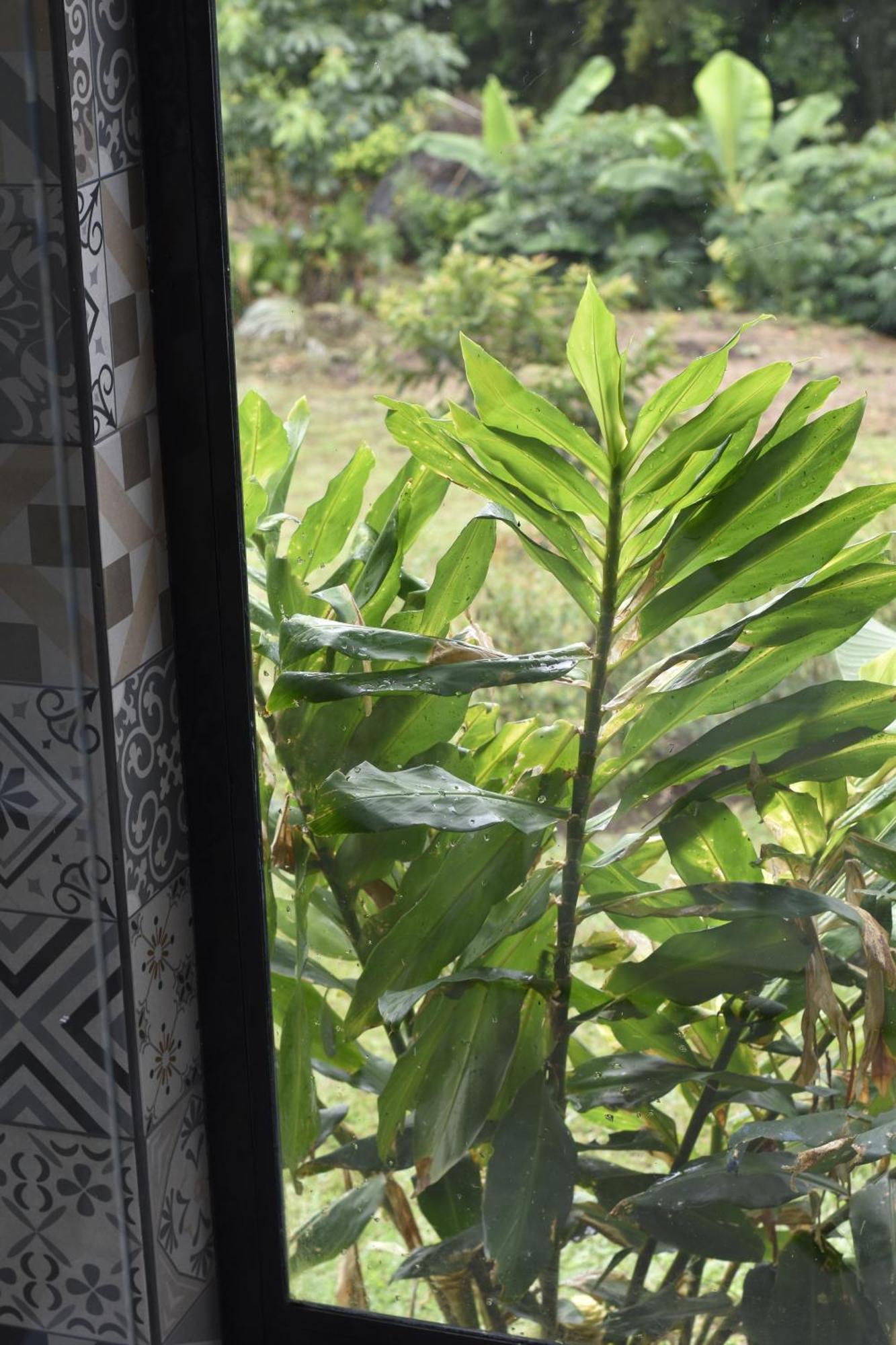 Glamping La Montanita * Medellín