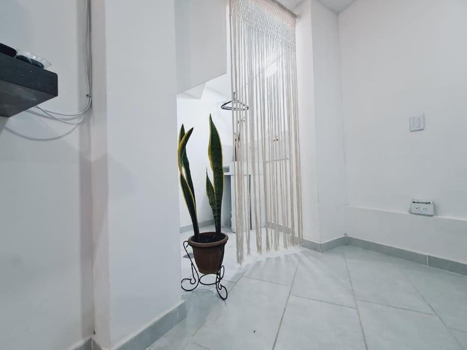 Apartment Comfy Loft In Laureles *