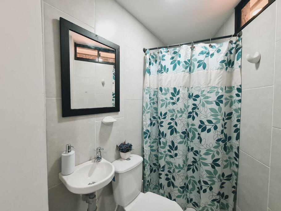 Comfy Loft In Laureles Apartment