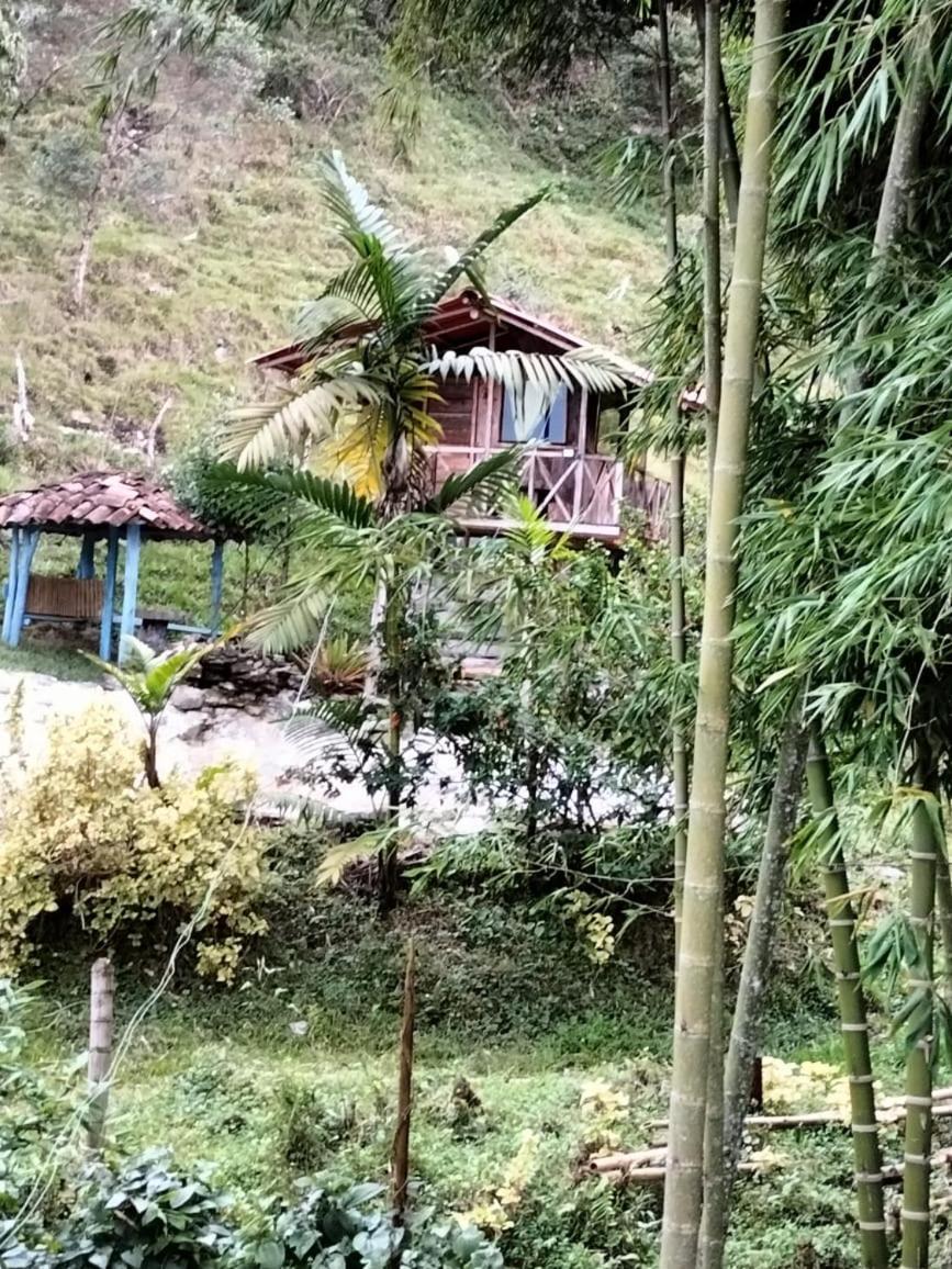 Luxury tent Sierra De Viboral Adventures *