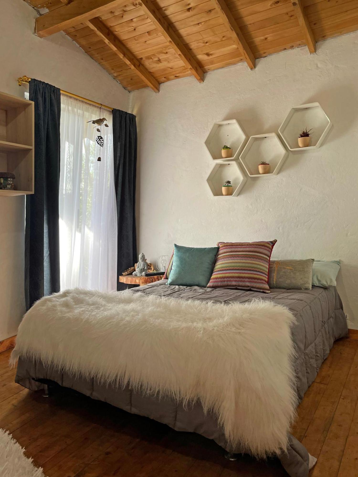 Guest house Cabana Casa Verde - Santa Elena *