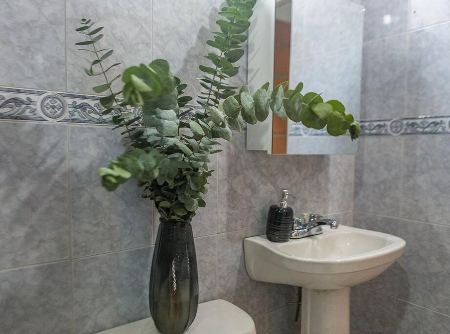 Apartment Beautiful In Laureles 300mb Wifi *