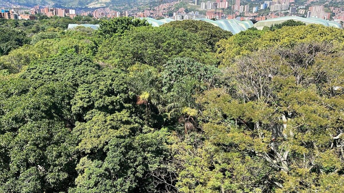Apartment Luxurious In Laureles Estadio *