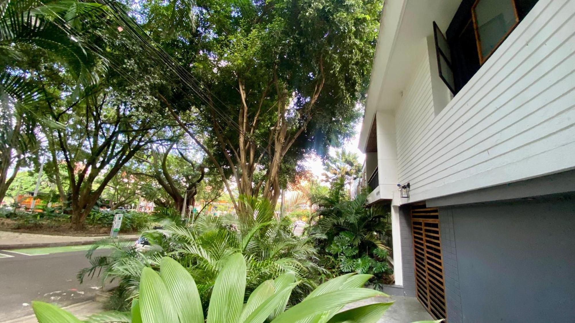 Casa Mosaiko Primer Parque Laureles Medellin