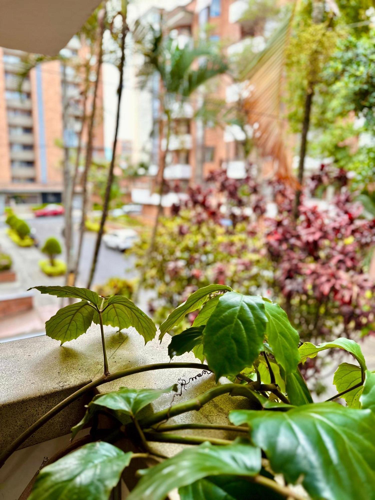Boutique Fiorentina Hotel