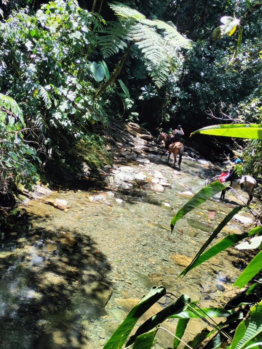 Sierra De Viboral Adventures Medellin