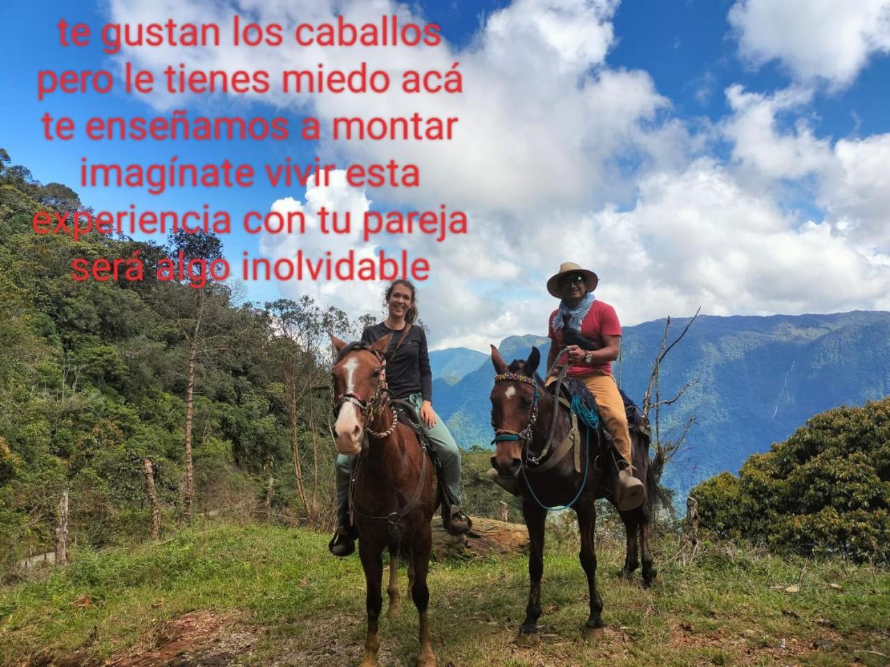 Luxury tent Sierra De Viboral Adventures *