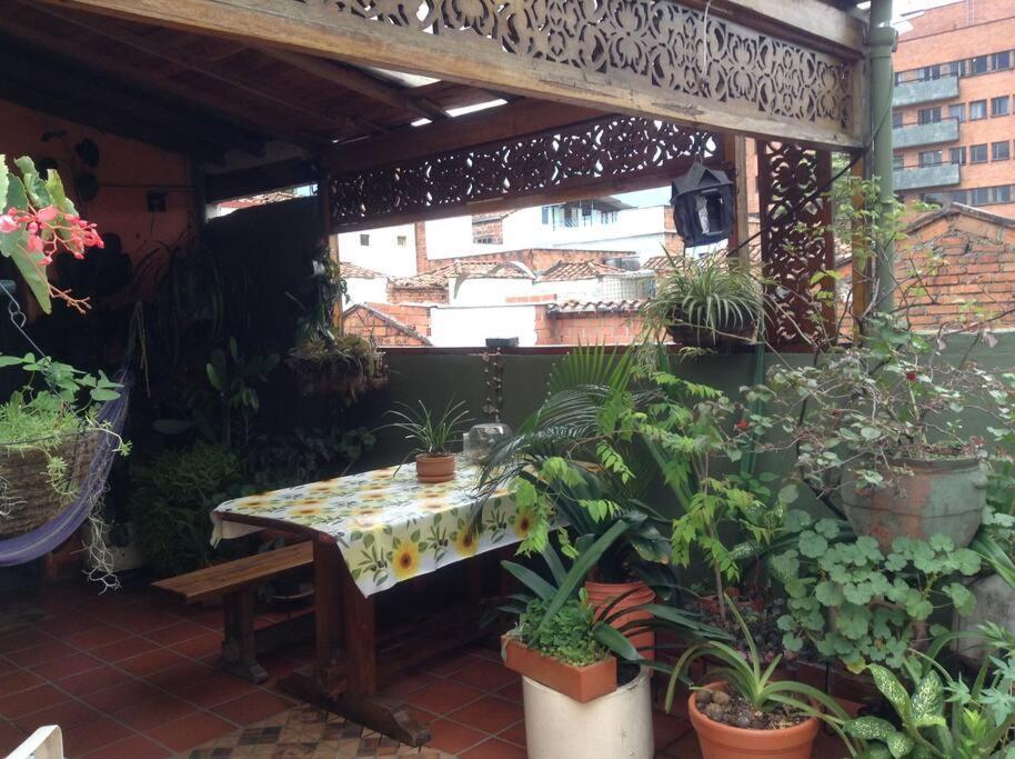 Apartamento-galeria De Arte Cielo Y Tierra Apartment