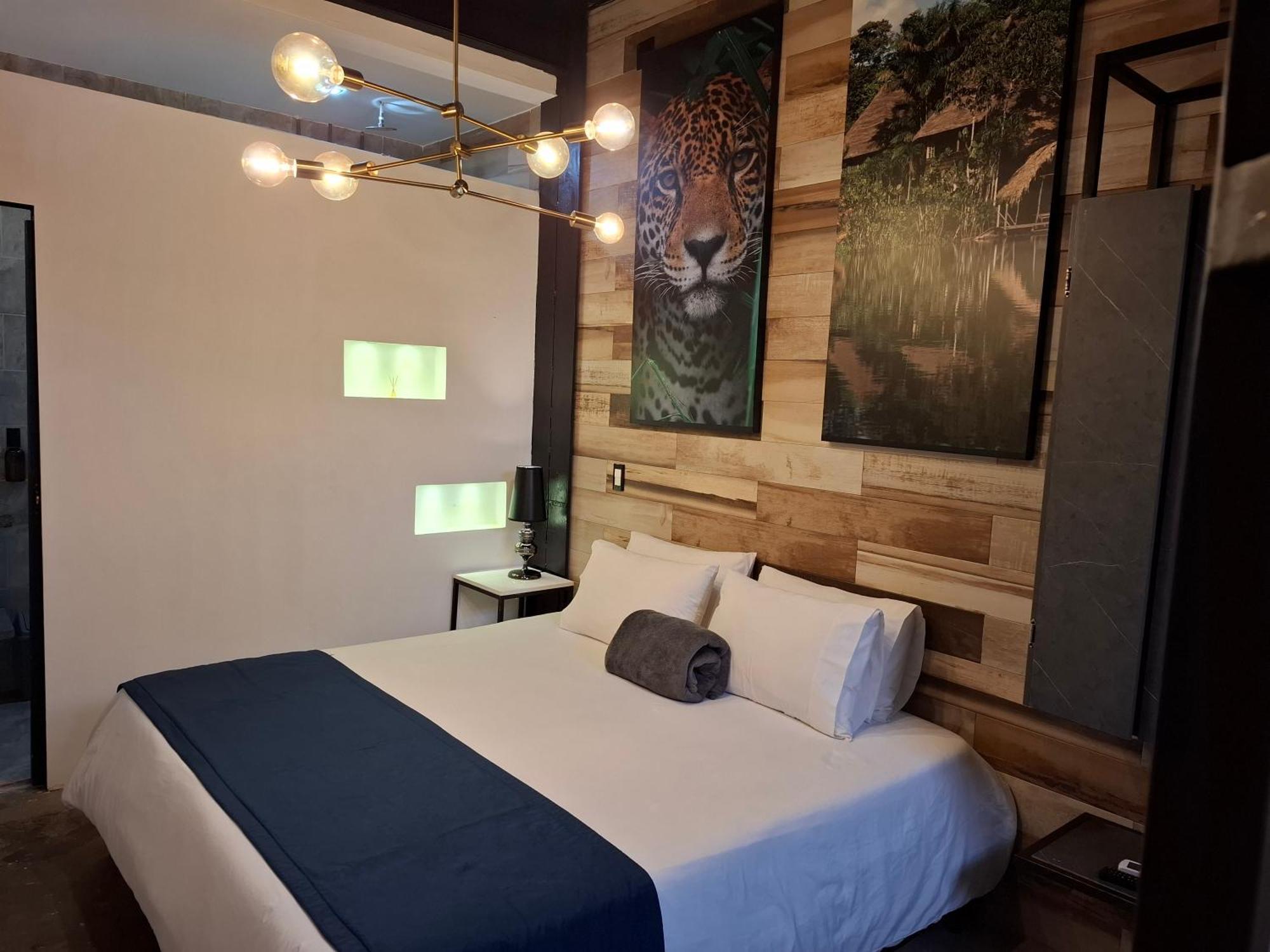 Mystic House Park Apartment Medellin