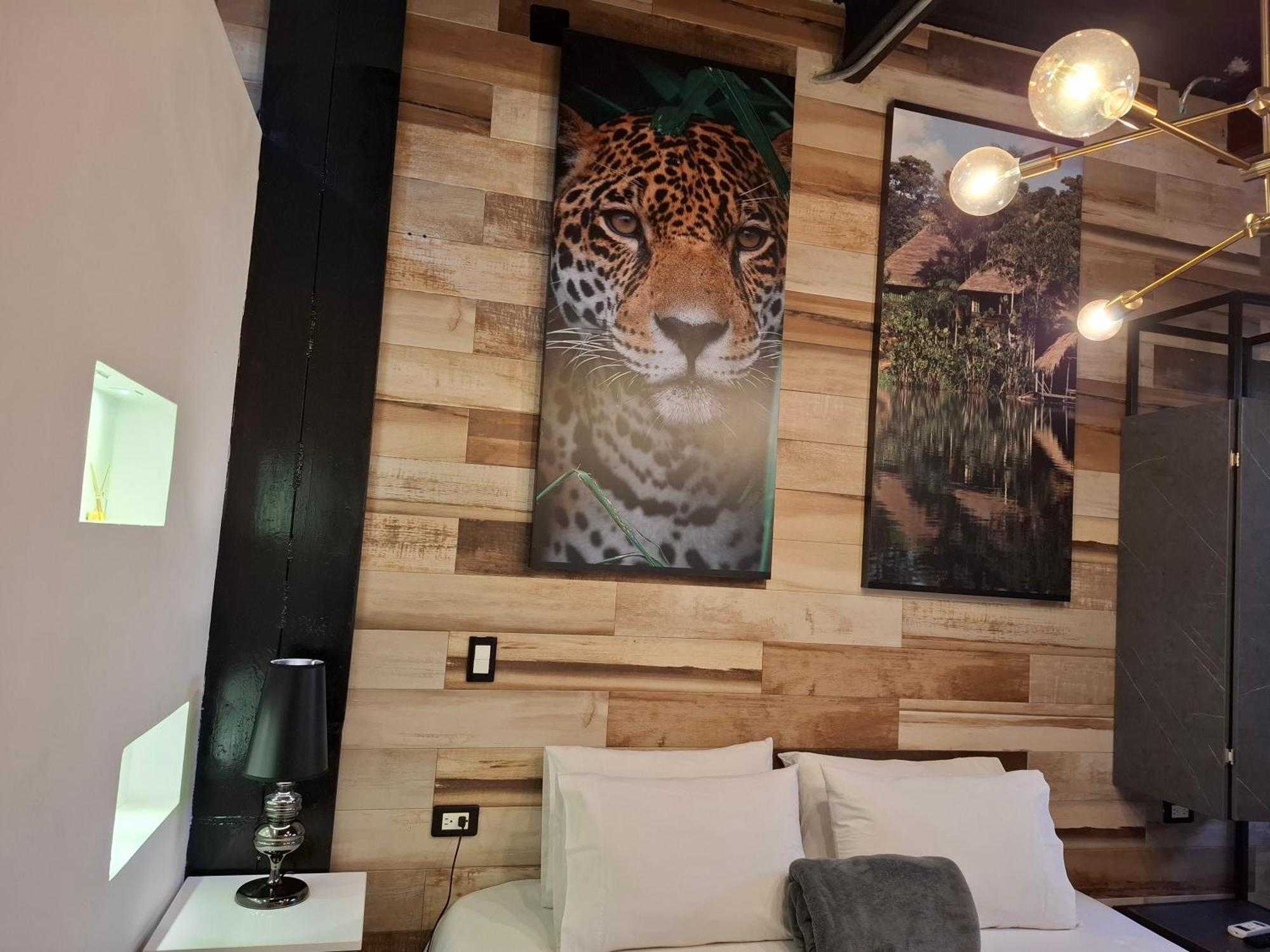 Mystic House Park Apartment Medellin