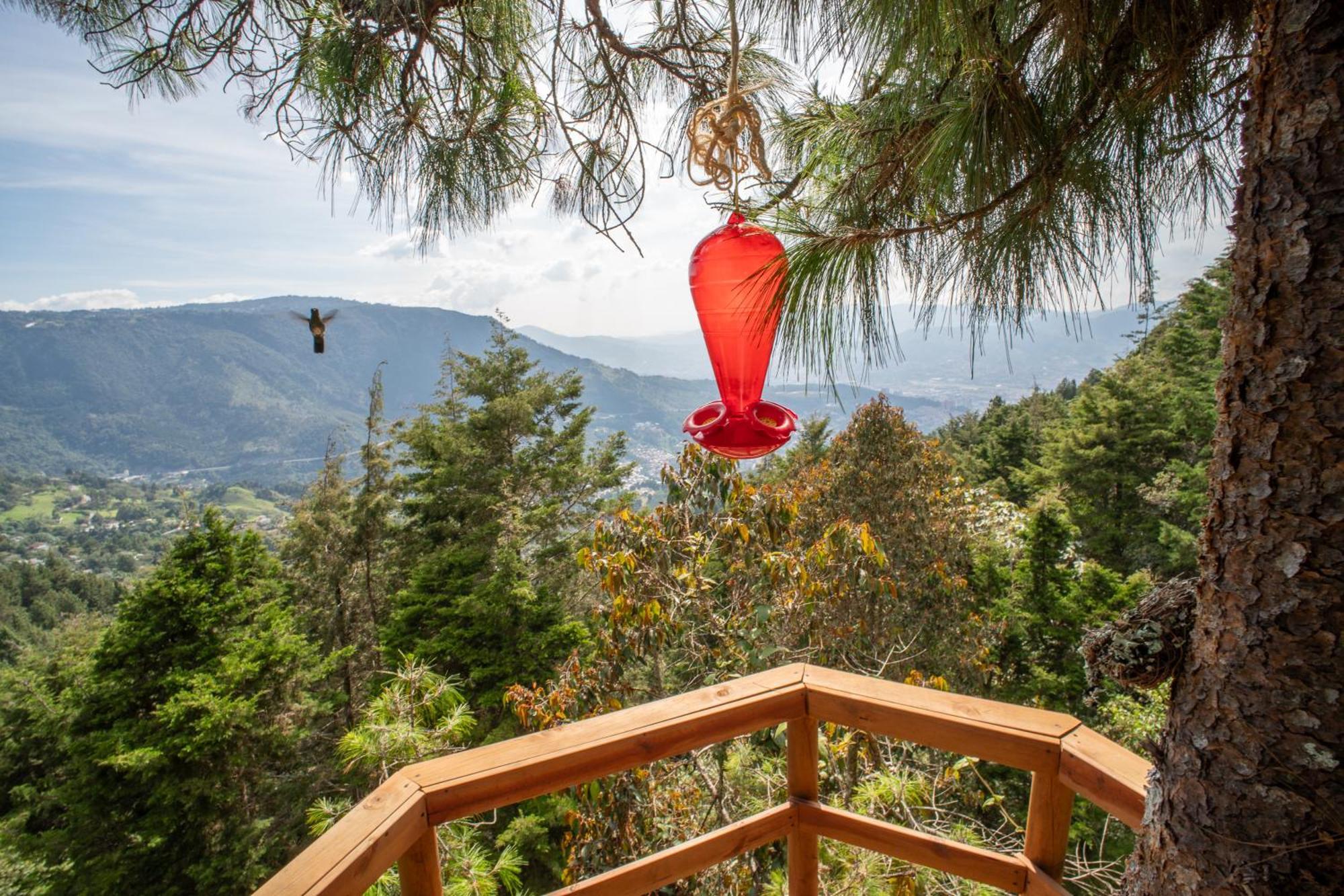 Glamping, Jacuzzi, Malla Catamaran Y Desayuno En Santa Elena *