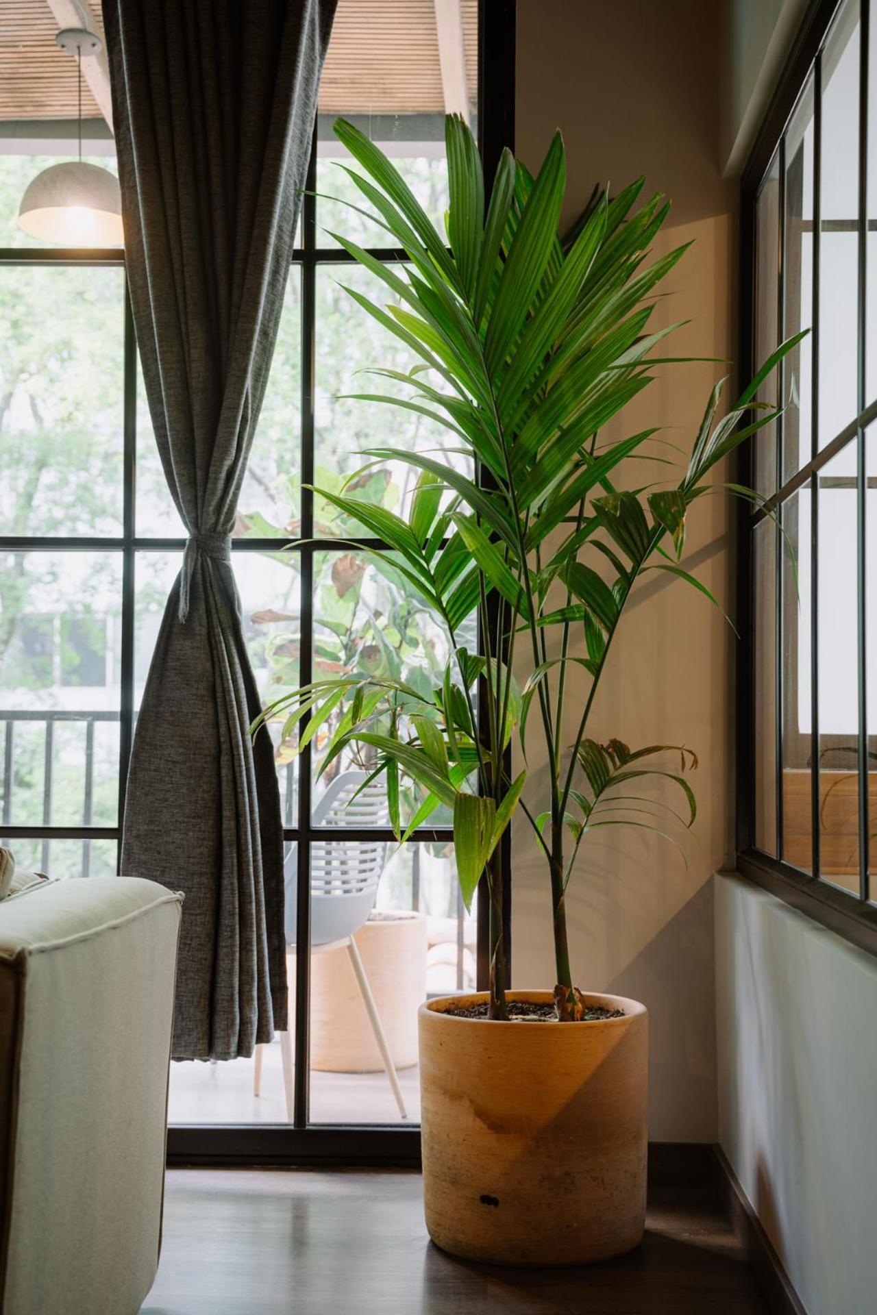 Apartasuite De Lujo Con Jacuzzi Privado El Poblado Apartment