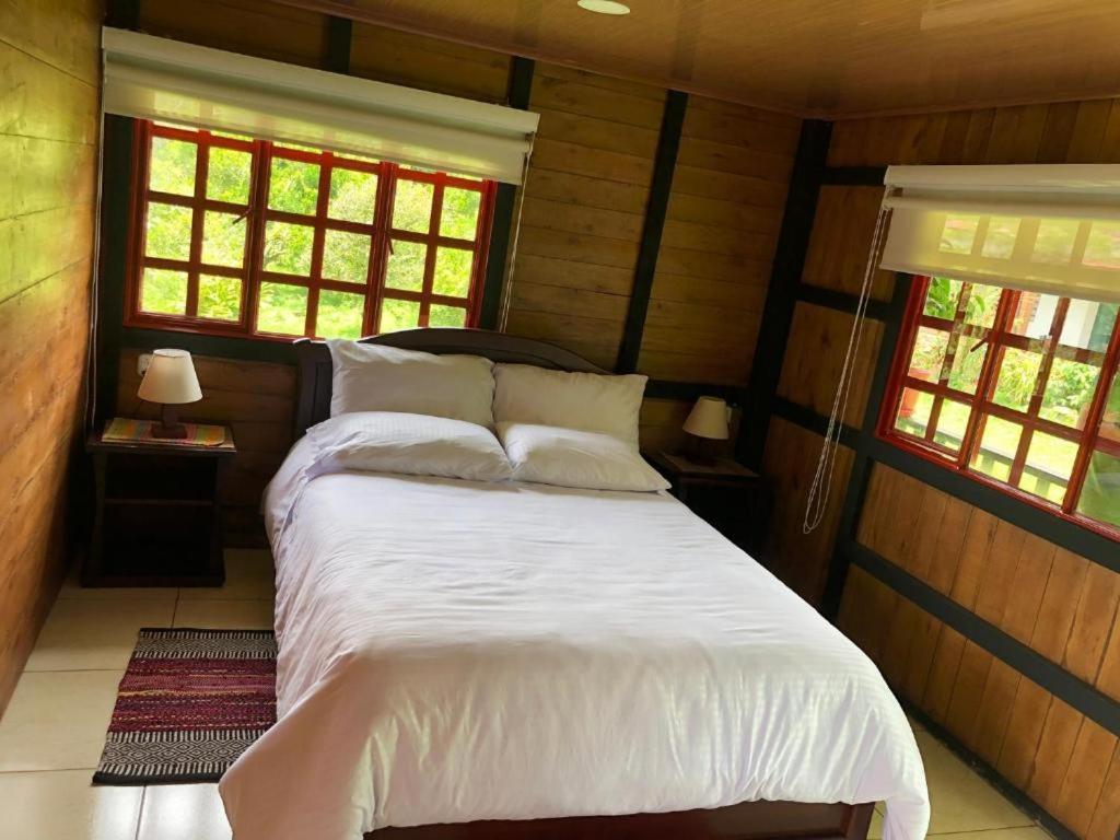 Farm stay Camilomedellin