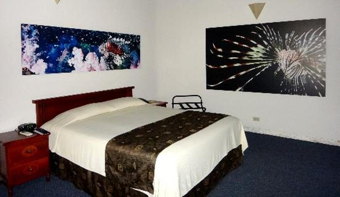 Hotel Plaza Rosa 4*