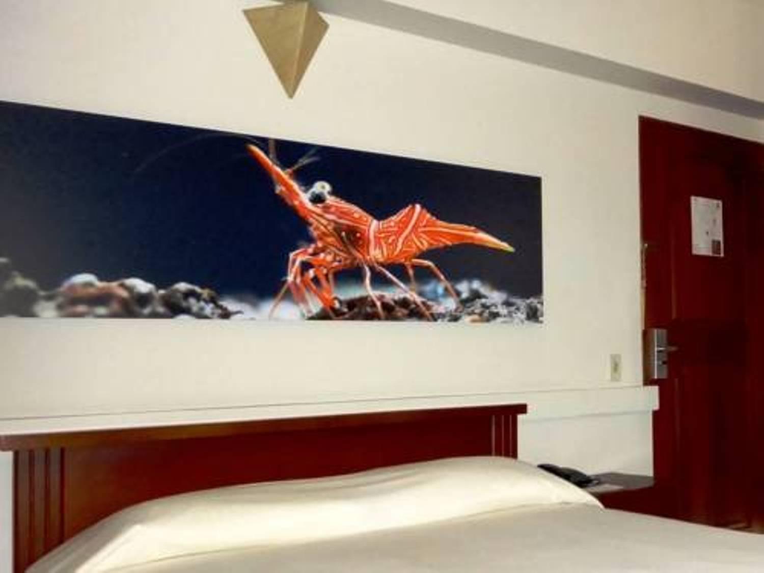 Hotel Plaza Rosa 4*