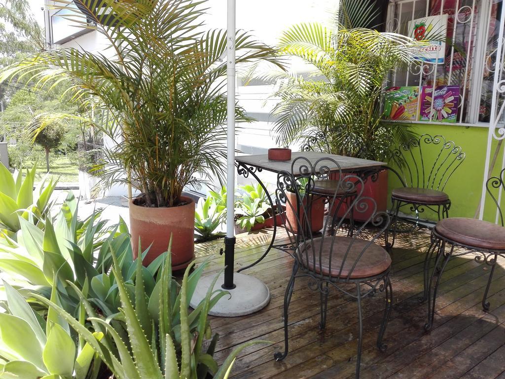 Spring Hostel