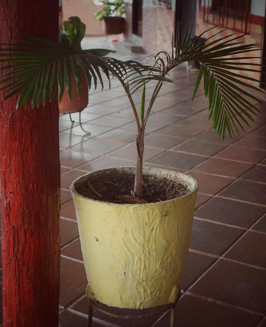 Albergue Eco Language