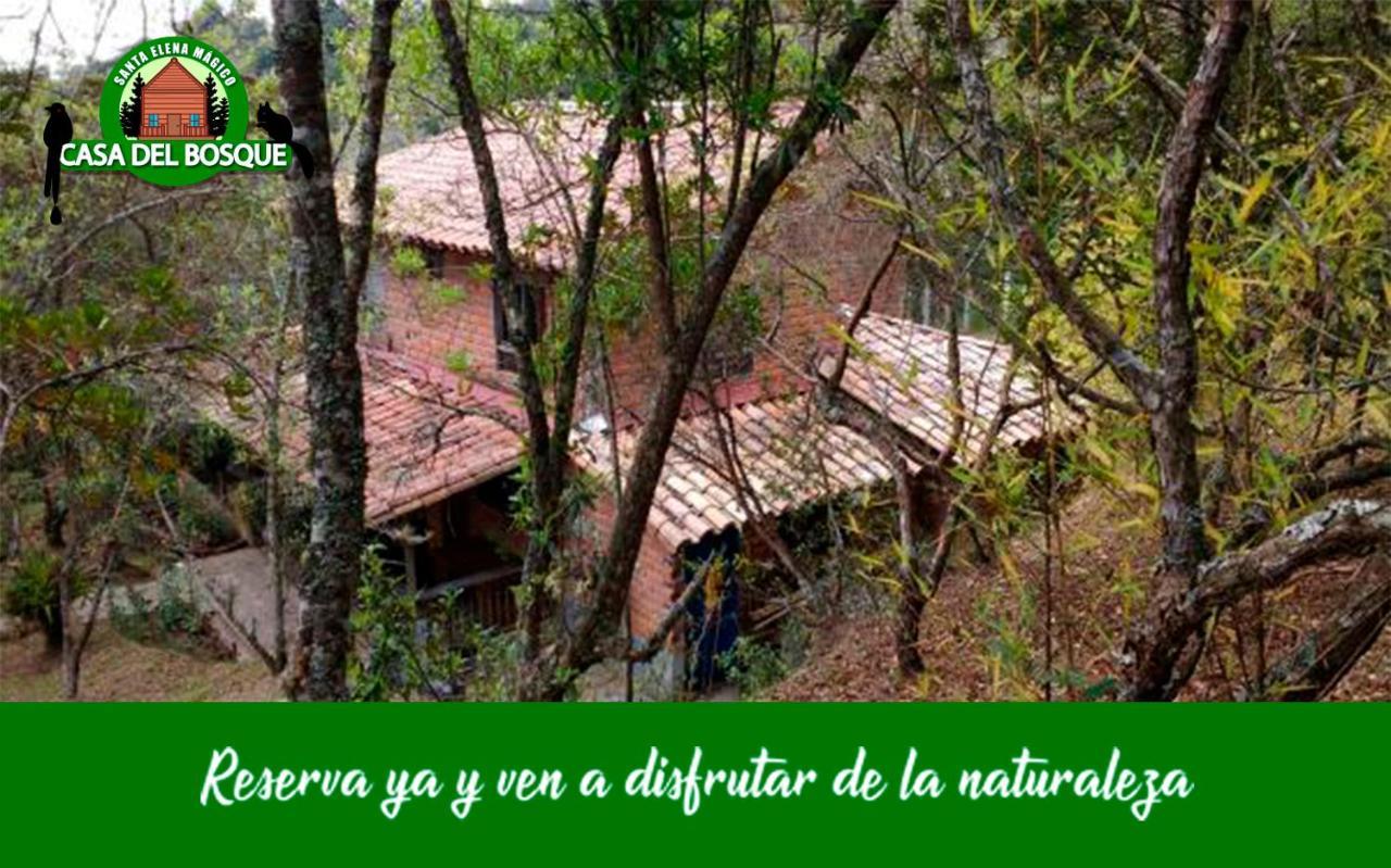 Casa Del Bosque * Medellin