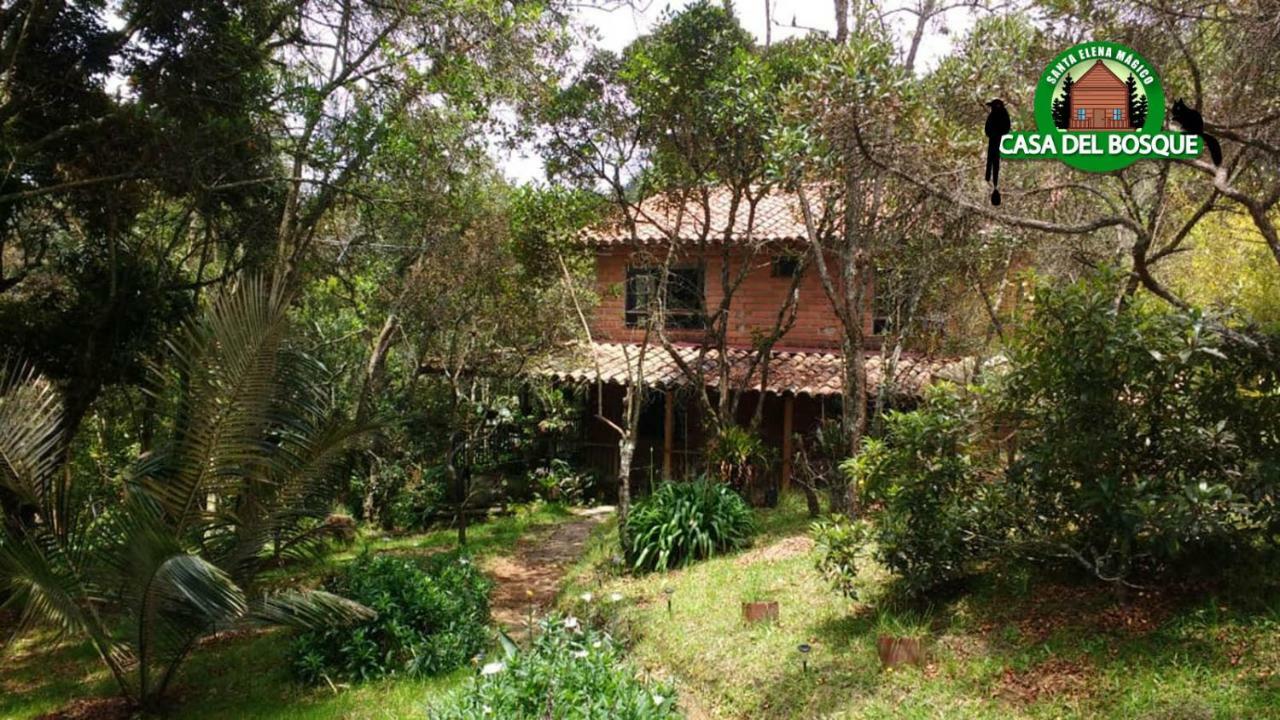 Guest house Casa Del Bosque Medellin