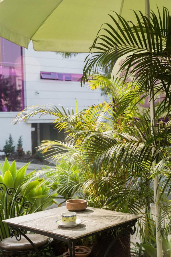 Spring Hostel *