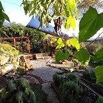 Cabana Con Jacuzzi Jardin Esmeralda