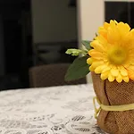 Apartamentos Excelente Ubicacion