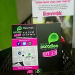 Hotel Paradise La 33