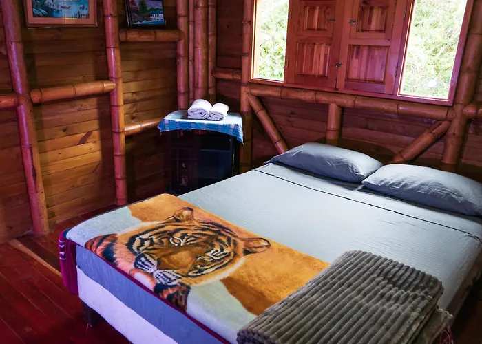 Habitacion En Hospedaje Campestre Compartido Tipo Hostal En Santa Elena Cerca A Medellin Y Aeropuerto Jmc - Cabana Aru